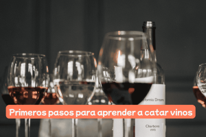 🍇🧠 Primeros pasos para aprender a catar vinos: cómo entrenar los sentidos de verdad