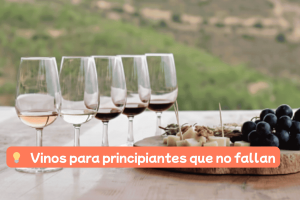 💡Vinos para principiantes que no fallan