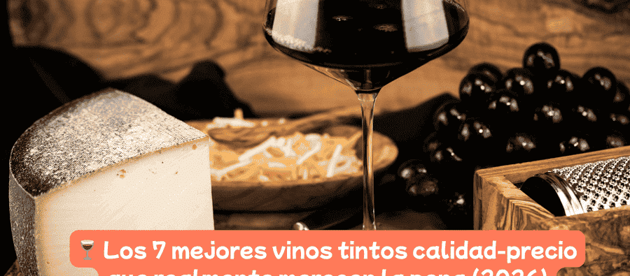 💸Vinos Calidad-Precio
