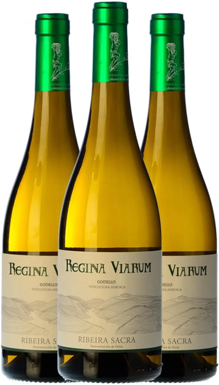 Regina Viarum Godello Ribeira Sacra Crianza, pack de 3