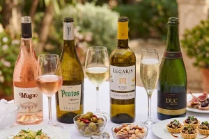 🚀Los 6 Mejores Vinos para Aperitivos en 2026: Frescos, Versátiles y Perfectos para Cualquier Mesa
